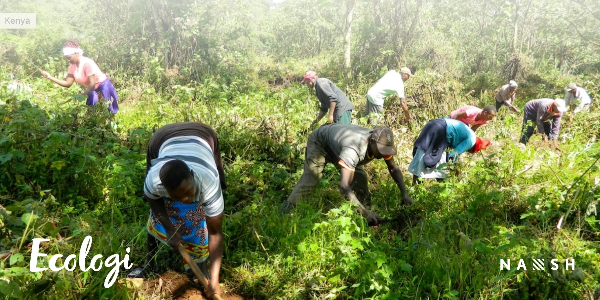 Friends we love - unser Umweltpartner Ecologi