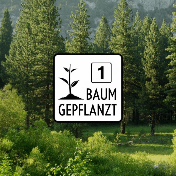 Pflanze 1 Baum
