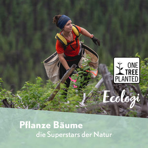 Pflanze 1 Baum