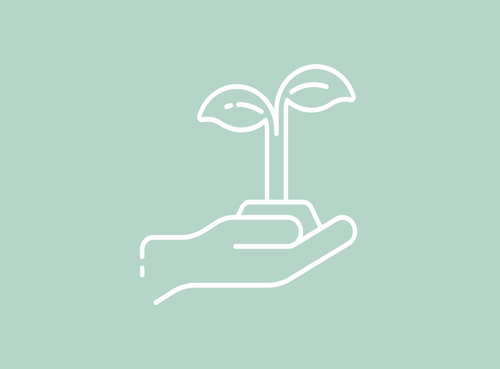 NASH Perfectly Shaved Clean Gentle Affordable nash-perfectly-shaved-clean-gentle-affordable